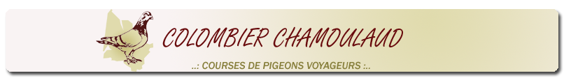 Colombier CHAMOULAUD Eric Pigeons